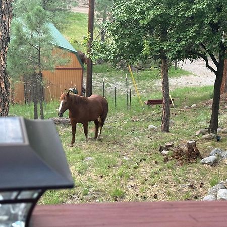 Gonzales Cozy Little Bear Cabin Ruidoso Εξωτερικό φωτογραφία
