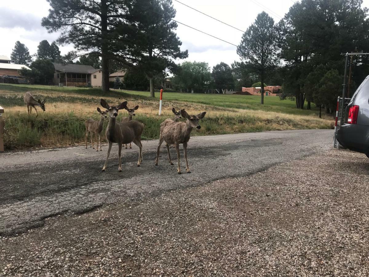 Gonzales Cozy Little Bear Cabin Ruidoso Εξωτερικό φωτογραφία