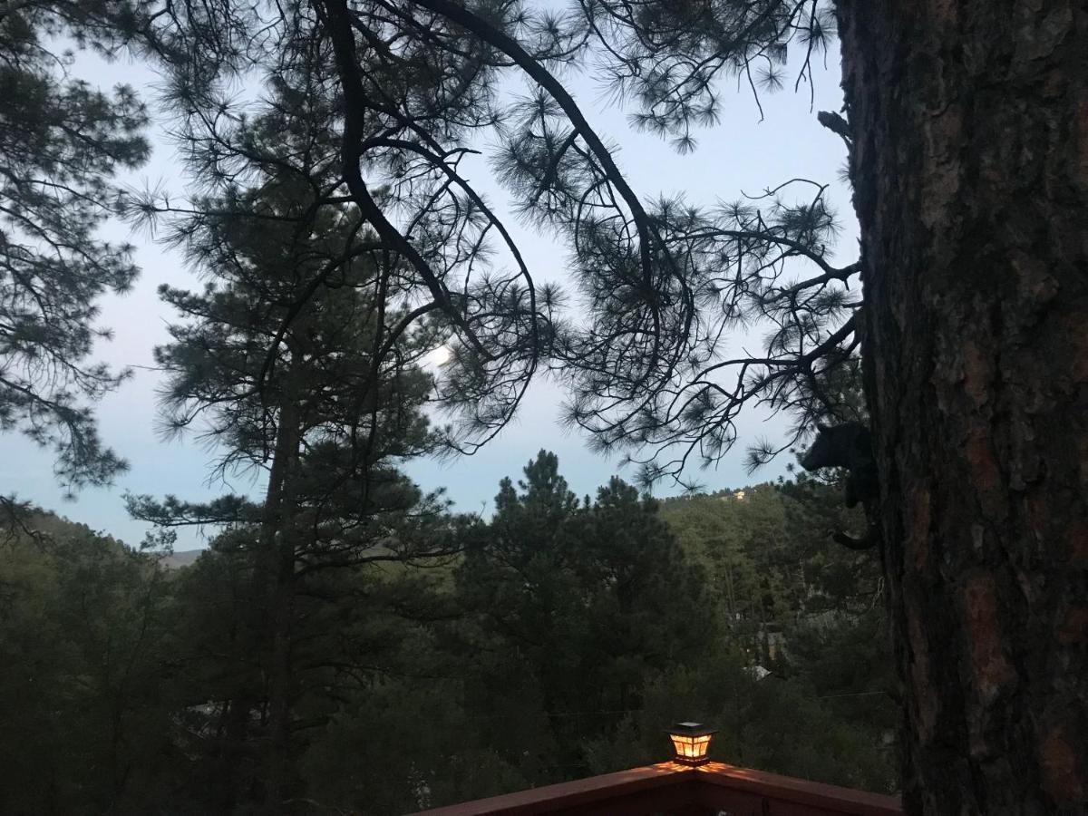 Gonzales Cozy Little Bear Cabin Ruidoso Εξωτερικό φωτογραφία